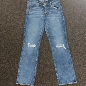 American Eagle Outfitters Classic Blue Denim Jeans